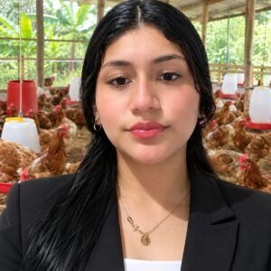 El Rey pollo