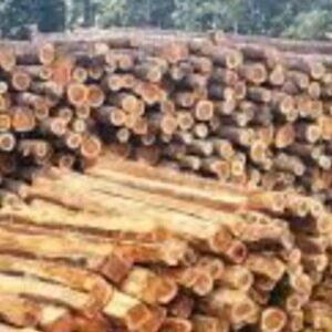 Moposita de madera
