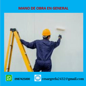 Mano de obra en general