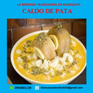 Caldo de pata