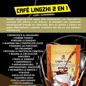 Café Lingzhi 2 en 1
