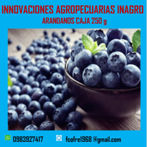 Arándanos caja250g