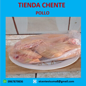 Pollo